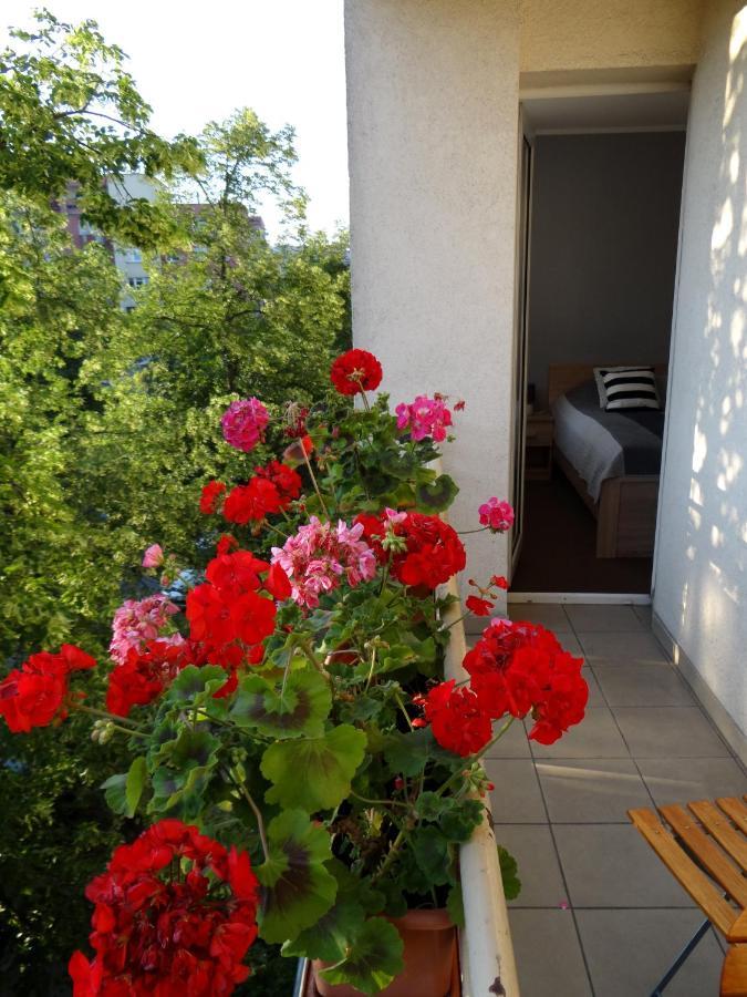 Apartamento Apartament Regina Poznan
